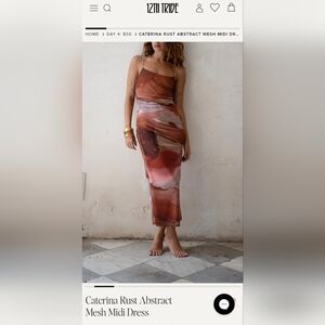 12th Tribe Caterina Abstract Mesh Midi Dress - Rust, Pink